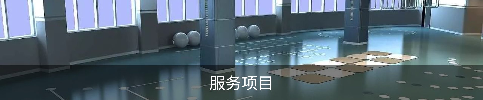 服务项目