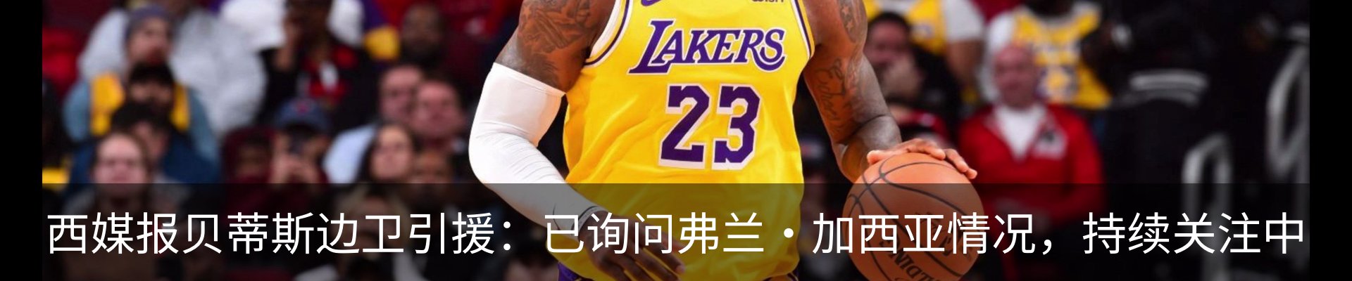 最新动态